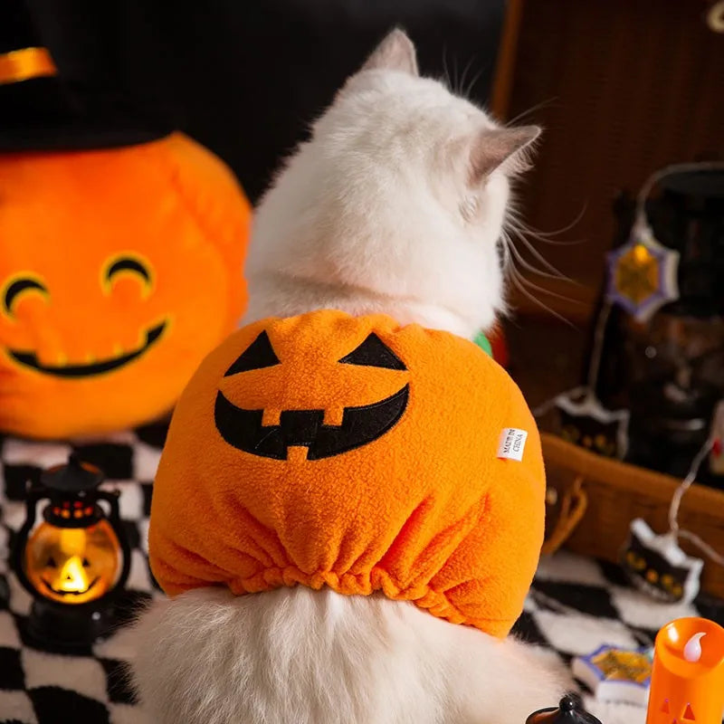 Pet Cat Eco-friendly Fleece Solid Lovely Halloween Costume Winter Warm British Shorthair American Shorthair Internet Celebrity
