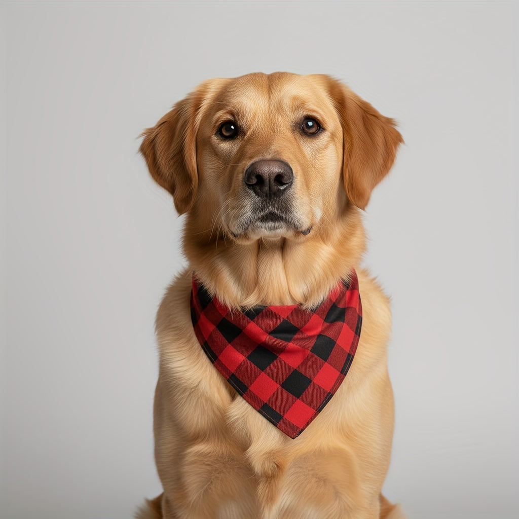 Two Piece Family Matching Christmas Pajamas Set 2025 PJ Party Holiday Gift For Whole Family Flame Resistant Long Sleeve Crew Neck "Making Memories Together" Christmas Tree Contrast Print Black Red Plaid Splice Pants Machine W