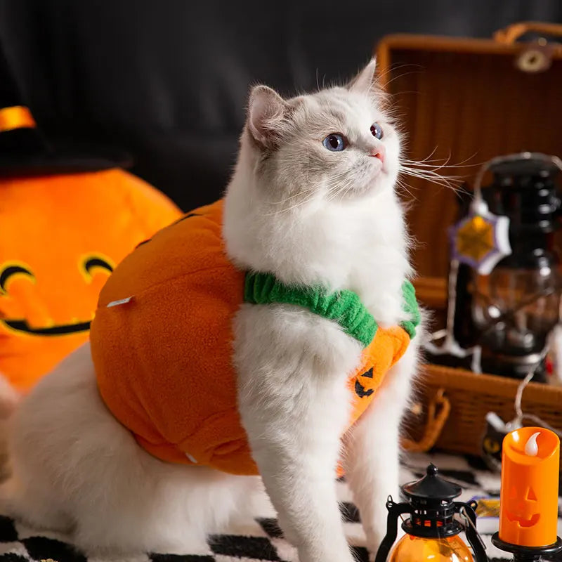 Pet Cat Eco-friendly Fleece Solid Lovely Halloween Costume Winter Warm British Shorthair American Shorthair Internet Celebrity