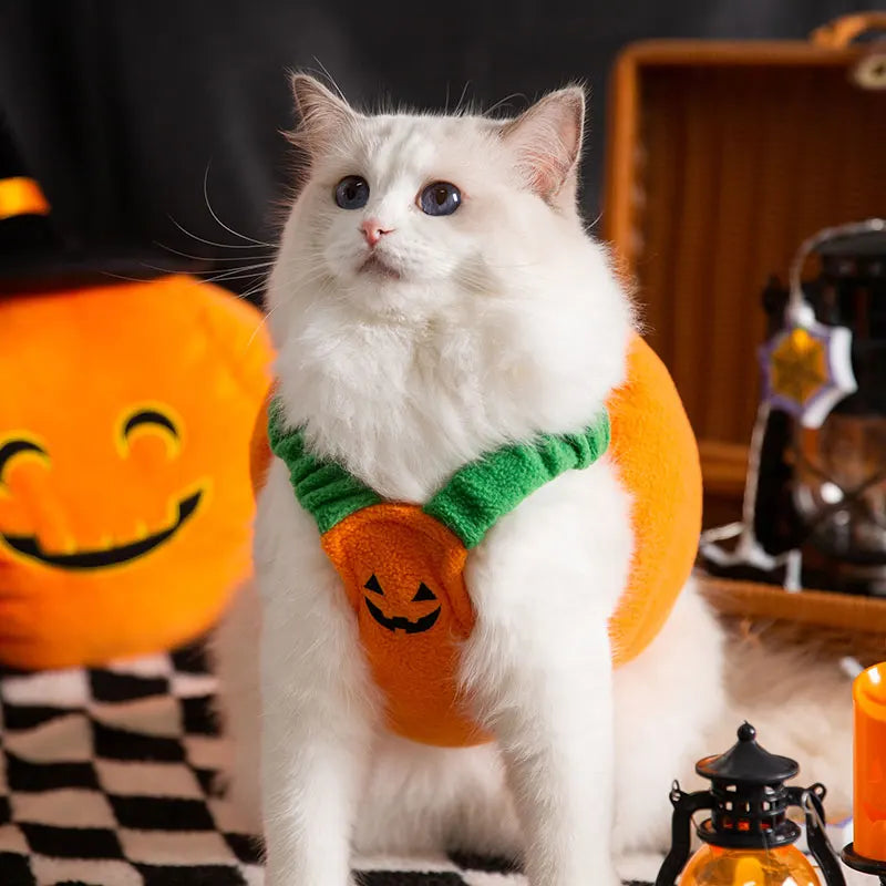 Pet Cat Eco-friendly Fleece Solid Lovely Halloween Costume Winter Warm British Shorthair American Shorthair Internet Celebrity