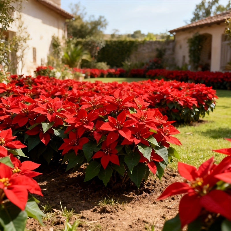 28 Artificial Red Poinsettia Flowers, Perfect for Christmas Home Decor, Table Centerpieces, Wedding Decoration, Christmas Tree, Exhibition, Winter Display